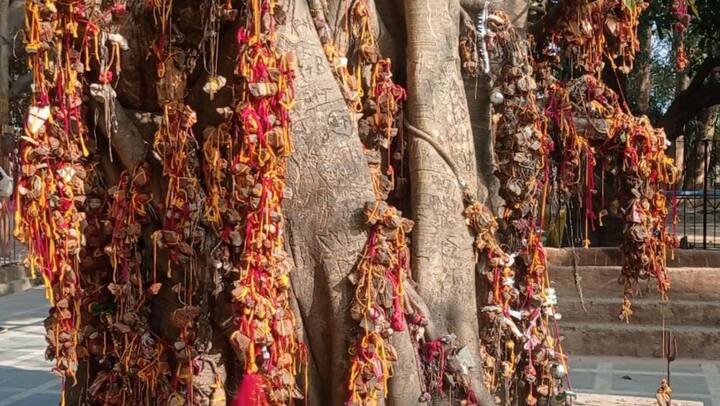 এর পর রাত আটটা নাগাদ শুরু হবে যজ্ঞ। রাত ১২.২৬ নাগাদ অমাবস্যা ছাড়বে। 