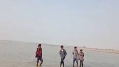 સુરેન્દ્રનગર:ખારાઘોડા રણ વિસ્તારમાં નીચાણવાળા વિસ્તારમાં નર્મદાનું પાણી ફરી વળ્યું, જુઓ ગુજરાતી ન્યુઝ