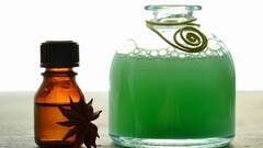 Hair Care: তেল মাসাজ, শ্যাম্পু, এই শীতে চুলের যত্ন নিচ্ছেন তো!