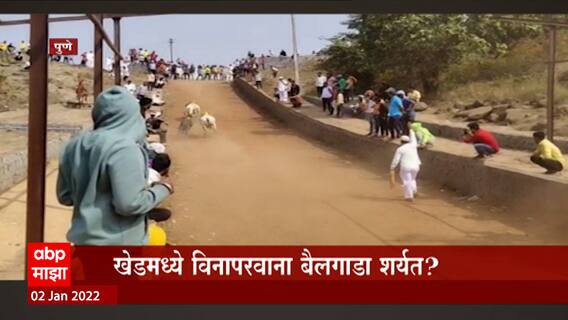 Maharashtra Bailgada: खेडमध्ये विनापरवाना बैलगाडा शर्यत ? ABP Majha