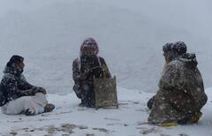 शिमला नव्हे हे तर सौदी अरेबिया, पाहा बर्फवृष्टीनंतरचे दृश्य