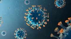 India Corona Update: দেশে দৈনিক আক্রান্তের সংখ্যা একদিনে বাড়ল ৬ হাজারেরও বেশি | Bangla News