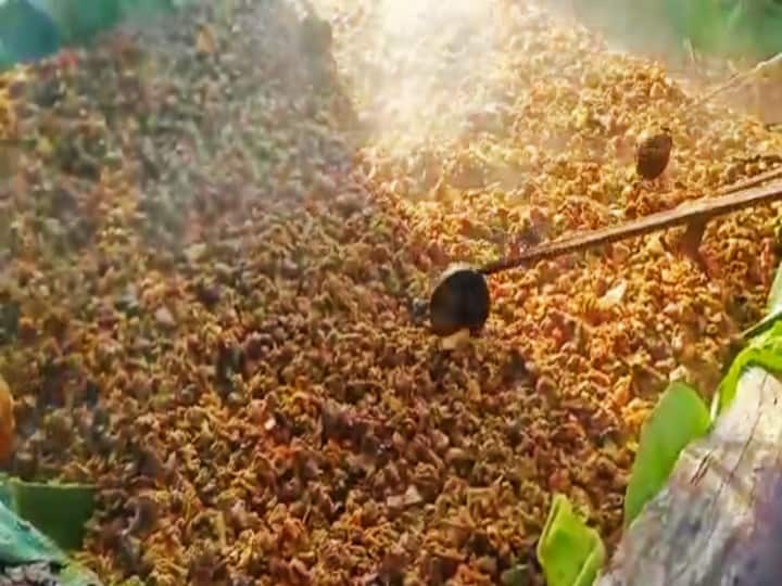 watch video | மலை போல் குவிக்கப்பட்ட கறிச்சோறு - மதுரையில் ஆண்கள் மட்டுமே கலந்து கொண்ட வினோத திருவிழா watch video | Non-vegetarian food piled up like a mountain - a bizarre festival attended only by men watch video | மலை போல் குவிக்கப்பட்ட கறிச்சோறு - மதுரையில் ஆண்கள் மட்டுமே கலந்து கொண்ட வினோத திருவிழா