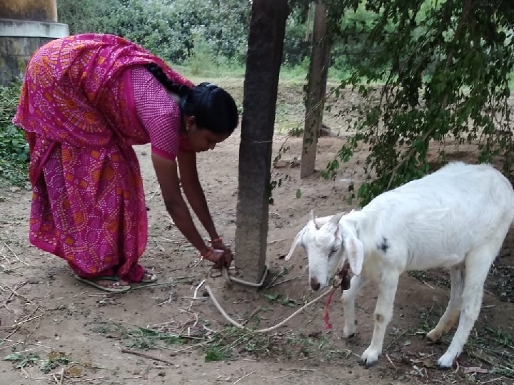 எந்த வார்த்தை கூறினாலும் உடனடி கவிதை! சேலத்தில் அசத்தும் இல்லத்தரசி!