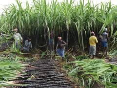 Tamil news | ஆணழகன் பட்டம் வென்ற இன்ஸ்பெக்டர்....முள்படுக்கையில் சாமியார்... இளைஞர் மீது துப்பாக்கிச்சூடு...! - தென் மாவட்டங்களில் நடந்த முக்கிய நிகழ்வுகள்