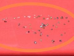 Gariyaband News: 10 लाख के हीरे के साथ तस्कर गिरफ्तार, पायलीखंड हीरा खदान से खुदाई कर बेचने की थी तैयारी