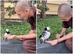 Watch: शख्स ने बेजुबान को खिलाया दाना, चिड़िया ने यूं जताया आभार