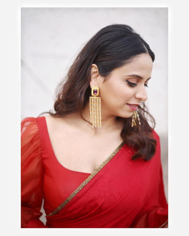 'दिल, दोस्ती, दुनियादारी' मालिकेत स्वानंदीने साकारलेले मीनलचे पात्र प्रचंड गाजले होते. (Photo:@swananditikekar/IG)