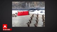 China vs India : नव्या वर्षातही चीनच्या कुरापती सुरूच, भारताला डिवचणारा व्हिडीओ जारी ABP Majha