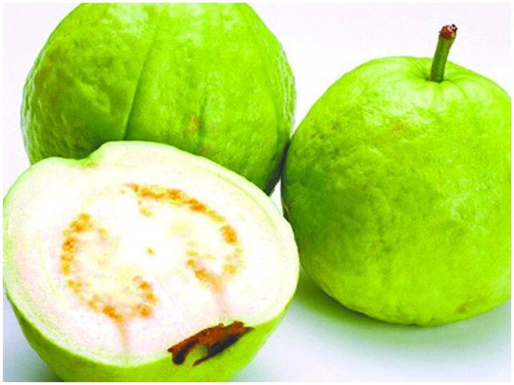 Health Tips: Guava खाने से नहीं होंगी चेहरे पर झुर्रियां, रोजाना करें इसका सेवन Health Tips, Eating Guava will not cause Wrinkles on the Face And Guava Benefits Health Tips: Guava खाने से नहीं होंगी चेहरे पर झुर्रियां, रोजाना करें इसका सेवन