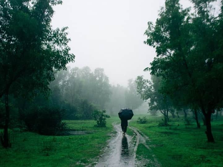 Weather Update Today Rainfall Expected For Next 7 Days Over Northwest, Central India With 2 Consecutive Western Disturbances IMD Rainfall Expected For Next 7 Days Over Northwest, Central India: IMD