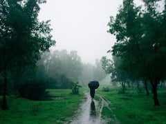 Rainfall Expected For Next 7 Days Over Northwest, Central India: IMD