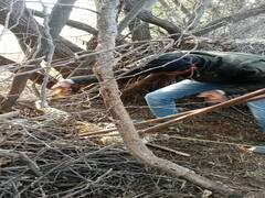 Udaipur News: खेत के लगाई गई सुरक्षा तारों में फंसा पैंथर, दहाड़ते ही इकट्ठा हुए लोग, जानिए फिर क्या हुआ