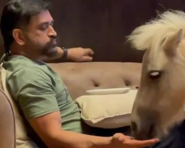 mahendra singh dhoni pet pony new viral video sakshi farmhouse MS Dhoni VIDEO:अपने दोस्त 'पोनी' के साथ वक्त बिता रहे हैं महेंद्र सिंह धोनी, साक्षी ने शेयर किया वीडियो