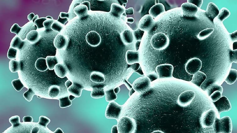 Haryana Coronavirus Update: हरियाणा में सामने आए कोरोना वायरस के एक हजार से ज्यादा मामले, दो लोगों की मौत
