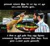 Bigg Boss Memes: கமலிடம் கலாய் வாங்கிய ப்ரியங்கா - சண்டே எபிசோட் வைரல் மீம்ஸ்