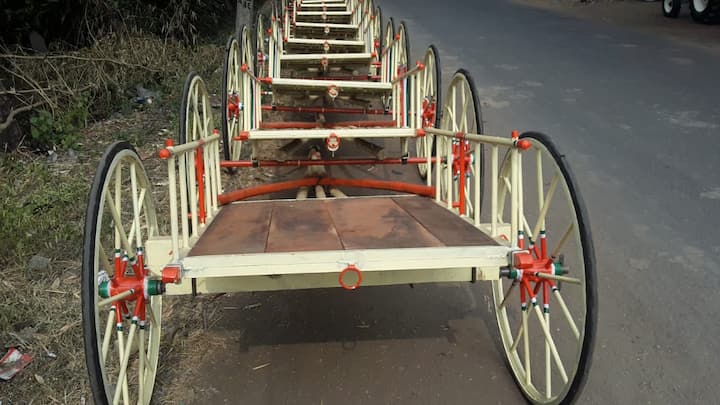 सध्या प्रशासनाच्या सर्व  अटीचे पालन  करून बैलगाडी शर्यतीचे आयोजन करणे सक्तीचे आहे.