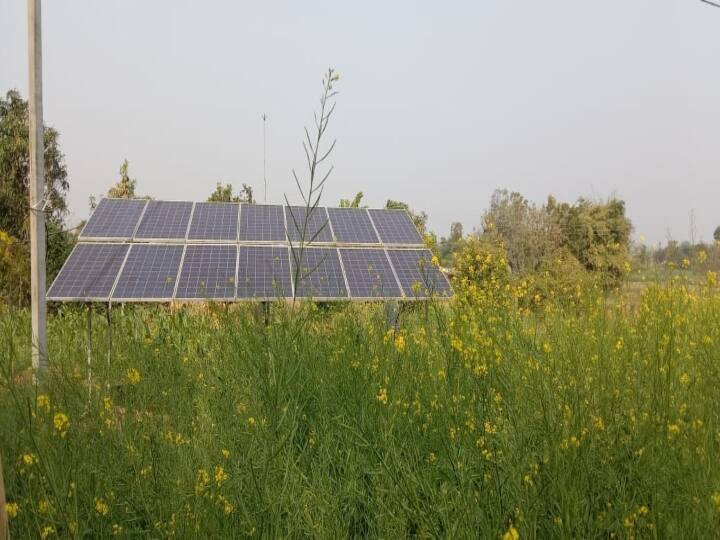 Farmers of 12 villages of Udaipur surprised everyone, earned Rs 20.65 lakh by selling electricity in 5 months ann Rajasthan News: उदयपुर के 12 गांवों के किसानों ने सबको चौंकाया, 5 महीने में बिजली बेचकर कमाए 20.65 लाख रुपये