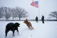 IN PICS: वॉशिंग्टन डीसीमध्ये हिवाळी वादळाने हाहाकार; काही भागांमध्ये 14 इंचांपेक्षा जास्त बर्फवृष्टी