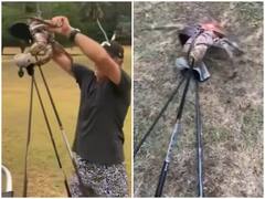 Watch: गोल्फ खेलने मैदान पर पहुंचा मॉन्स्टर क्रैब, एक बाइट में स्टिक के किए दो हिस्से