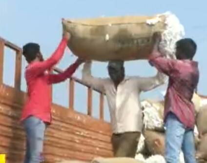 Warangal Cotton Market: వరంగల్ ఎనుమాముల మార్కెట్ లో అత్యధిక ధర నమోదు చేసిన పత్తి