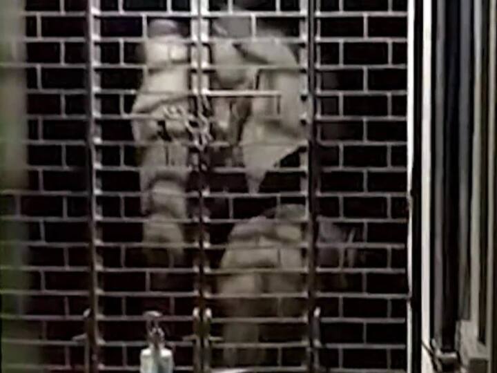 Kerala: Mother and baby Elephant And Raid Police Station In Kerala-watch video Watch video :பீம பலம் கொண்டு காவல்நிலையத்தை சூறையாடிய தாய் மற்றும் குட்டி யானை... கேரளாவின் அரங்கேறிய அரிய நிகழ்வு!
