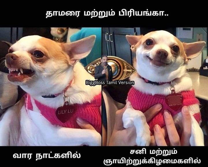 ஆஹான்