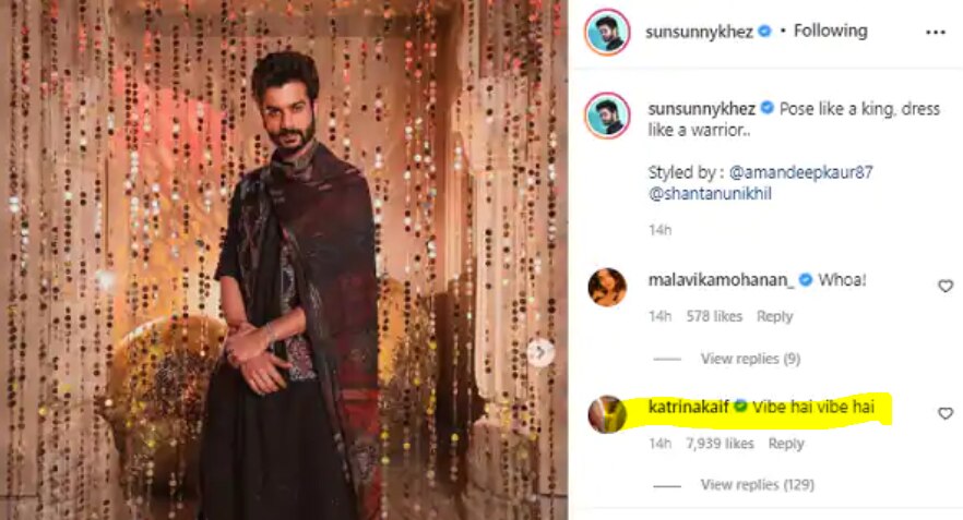 Cutest Bhabhi' Katrina Kaif And Brother-In-Law Sunny Kaushal's Instagram Exchange Is All About 'Vibe