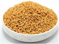 Health Tips: Fenugreek Seeds के रोजाना सेवन से सेहत को मिलेंगे ये गजब के फायदे