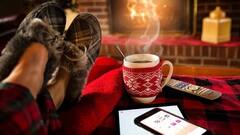 Home Decor Tips: সবুজ-সতেজ সাজগোজ, বাড়ি হয়ে উঠুক আরও আপন