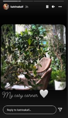 Katrina Kaif New Home: ক্যাটরিনা কাইফের অন্দরমহল কতটা বিলাসবহুল দেখেছেন?