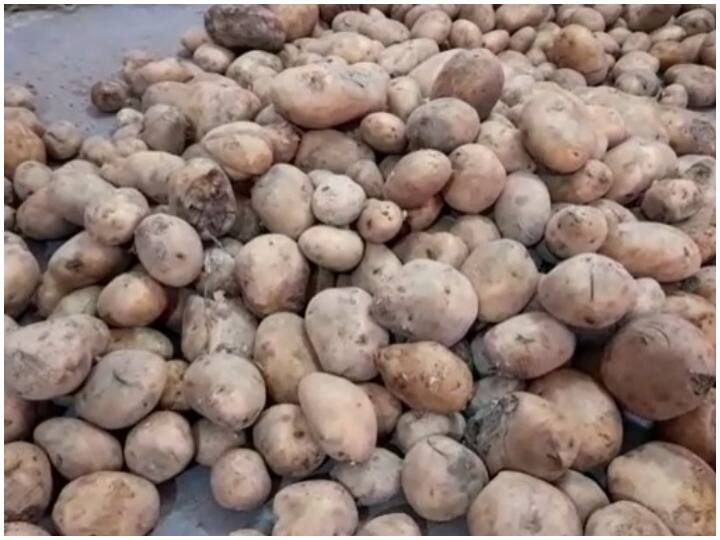 Telangana government refuses to buy potatoes coming from UP ANN Telangana सरकार ने UP से आने वाले आलू को खरीदने से किया मना, क्या है पूरा मामला?