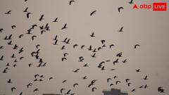 Howrah: সাঁতরাগাছি ঝিলের জল এখন নিকাশি নালার মতো, এই কারণেই হয়তো পাখি কম, বলছেন সুভাষ দত্ত