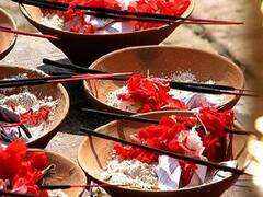 Plant Remedy: इन पौधों को लगाने से पितृ दोष होंगे दूर, आर्थिक स्थिति में भी आएगा सुधार