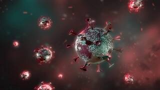 Corona epidemic signals end despite sharp rise in Omicron case, scientists claim ઓમિક્રોન કેસમાં ધરખમ વધારો છતાં કોરોના મહામારી ખત્મ થવાના સંકેત: વૈજ્ઞાનિકોનો દાવો
