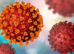 કોરોનાનો આવ્યો વધુ એક ખતરનાક વેરિઅન્ટ IHU, અત્યાર સુધીમાં 12 લોકો થયા સંક્રમિત, જાણો વધુ