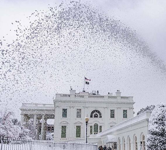 वॉशिंग्टन डीसीमध्ये बर्फवृष्टी!