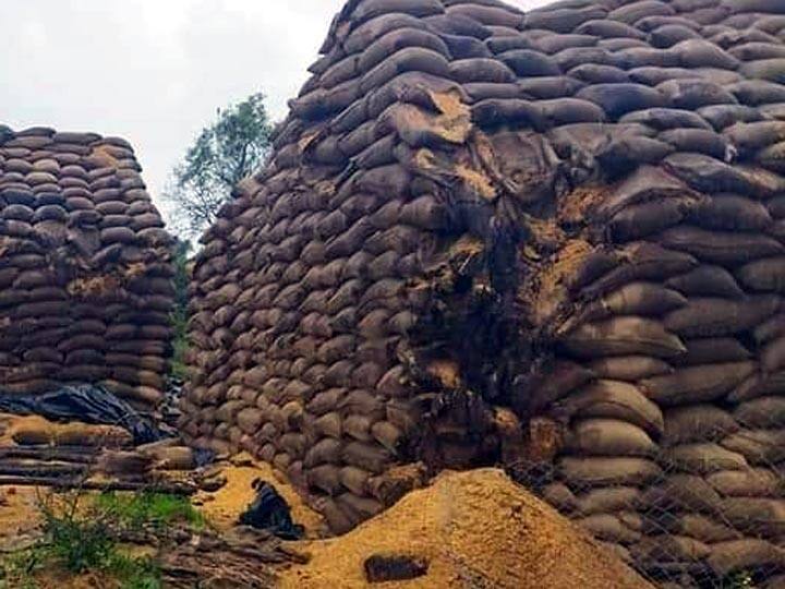Farmers have to buy paddy within 24 hours - Madurai High Court judges விவசாயிகள் கொண்டு வரும் நெல்லை 24 மணி நேரத்தில் கொள்முதல் செய்ய வேண்டும் - நீதிபதிகள்