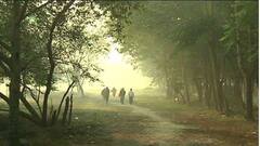 Weather Update: শীতের দাপুটে ইনিংস, কলকাতার পারদ নামল ১২.৭ ডিগ্রি সেলসিয়াসে | Bangla News
