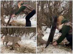 Watch: महिला के देसी जुगाड़ ने बचाई बिल्ली की जान, ट्रैप खोलकर किया आजाद