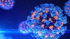 Corona: 'দেশে করোনার বাড়বাড়ন্তের পিছনে বেলাগাম জীবনযাপন,' মনে করেন কাজলকৃষ্ণ বণিক | Bangla News