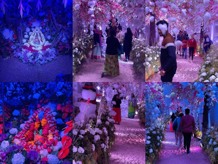 Udaipur News New year celebrations in Neelkanth Mahadev Temple near Fateh Sagar Lake ANN Udaipur News: नए साल के मौके पर महादेव के प्राचीन मंदिर का बर्फीला श्रृंगार, जापान और पोलैंड से मंगाए गए फूल