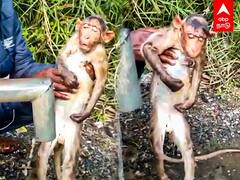 Kallakkurichi : அந்த மனசுதான் சார் கடவுள்...அடிபட்ட குரங்கை காப்பாற்றும் நபர்