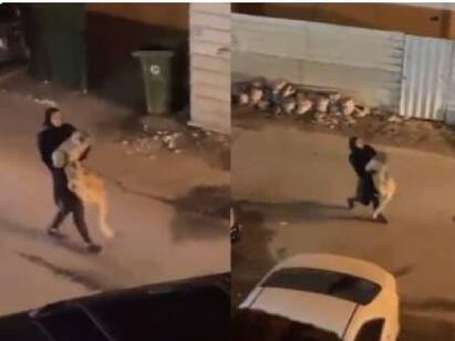 Woman casually catches growling lion and walks down a street wild clip goes viral Watch Video | எங்க ஓடுற? சுட்டி சிங்கக் குட்டியை அள்ளித் தூக்கி வந்த பெண் - வைரல் வீடியோ!