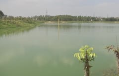 મિકેનિકલ એન્જિનિયરની નોકરી છોડી તળાવોને પુનર્જીવિત કરી રહ્યો છે આ યુવક