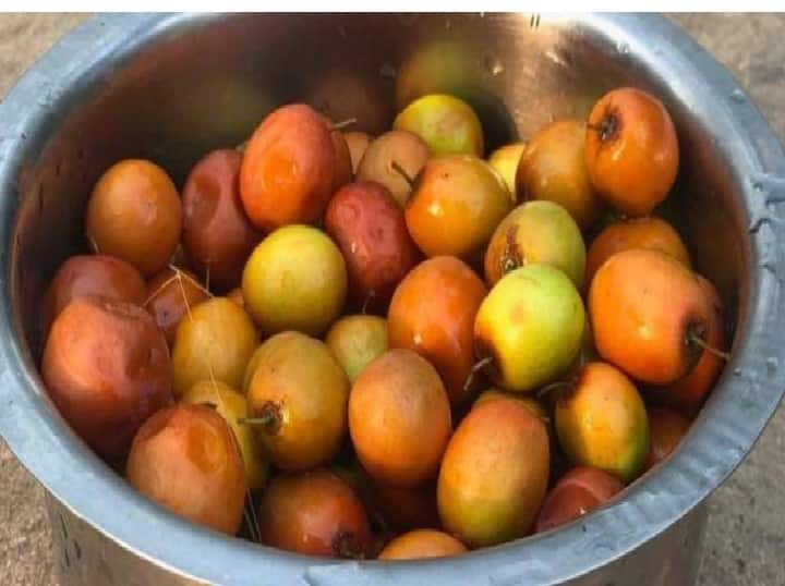 COVID-19: Eating ber or jujube can boost immunity, know more benefits from Rujuta Diwekar Jujube Immunity | எதிர்ப்பு சக்தி எப்பவும் இருக்கணுமா? இந்த பழத்தை மிஸ் பண்ணாதீங்க!