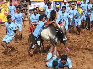 Tamil news | வெள்ளை சேலை கட்டி பொங்கல்... நாளை நடைபெறுகிறது அலங்கை ஜல்லிக்கட்டு:  தென் மாவட்ட செய்திகள் சில...