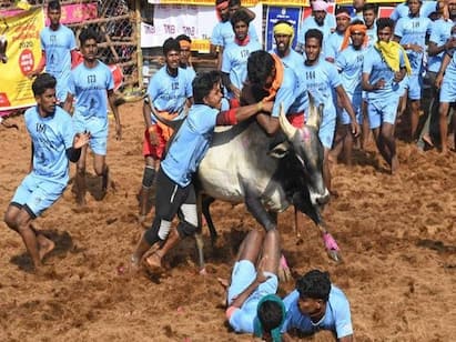 Some important news of the Southern District including Madurai Tamil news | வெள்ளை சேலை கட்டி பொங்கல்... நாளை நடைபெறுகிறது அலங்கை ஜல்லிக்கட்டு:  தென் மாவட்ட செய்திகள் சில...