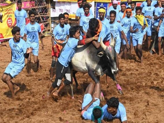 Tamil news | நாயை விழுங்கிய மலைப் பாம்பு..! மதுரையில் மஞ்சள் பை பரோட்டா..! - தென்மாவட்டங்களில் நடந்த முக்கிய நிகழ்வுகள்