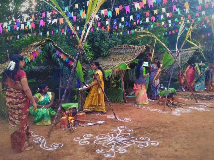 TN govt said Pongal festival organized by all government private sectors postponed due to Covid 19 Omicron spread tamil nadu Pongal Festival: வலுக்கும் கட்டுப்பாடுகள் - பொங்கல் மற்றும் கலை விழாக்கள் ஒத்திவைப்பு